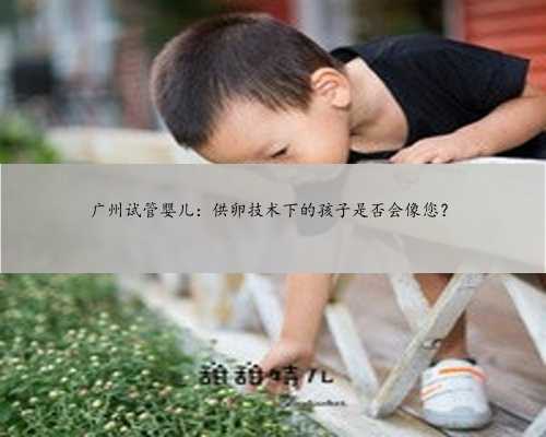 广州试管婴儿：供卵技术下的孩子是否会像您？